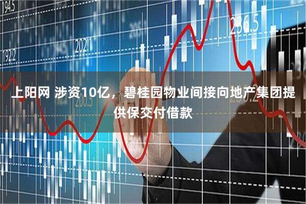 上阳网 涉资10亿，碧桂园物业间接向地产集团提供保交付借款