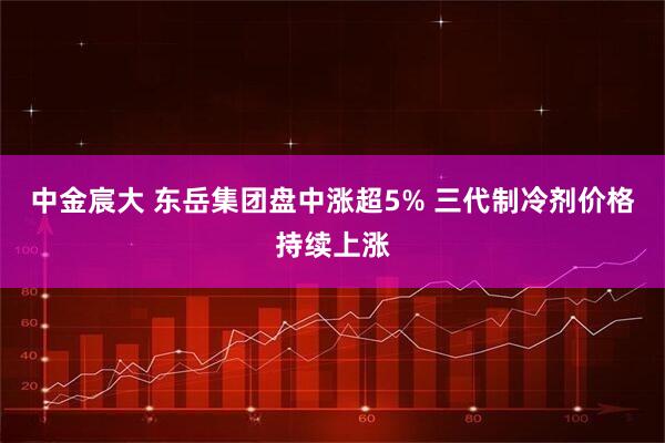 中金宸大 东岳集团盘中涨超5% 三代制冷剂价格持续上涨