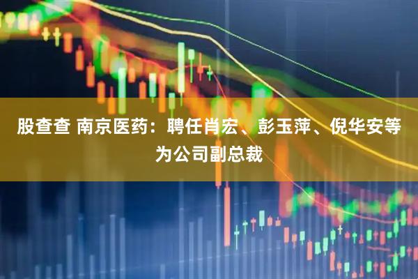 股查查 南京医药：聘任肖宏、彭玉萍、倪华安等为公司副总裁