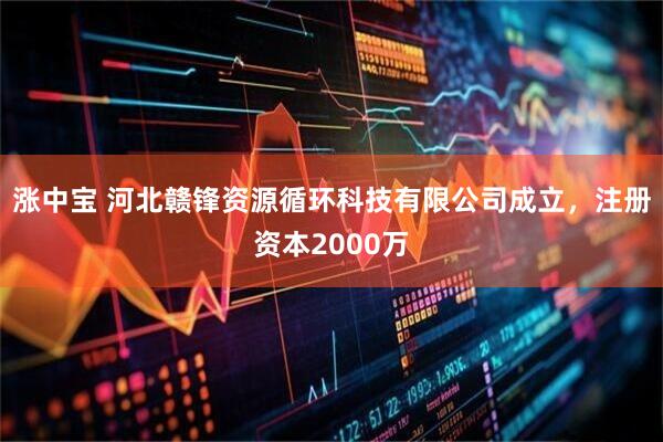 涨中宝 河北赣锋资源循环科技有限公司成立，注册资本2000万