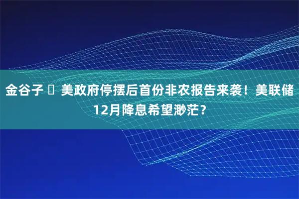 金谷子 ‌美政府停摆后首份非农报告来袭！美联储12月降息希望渺茫？