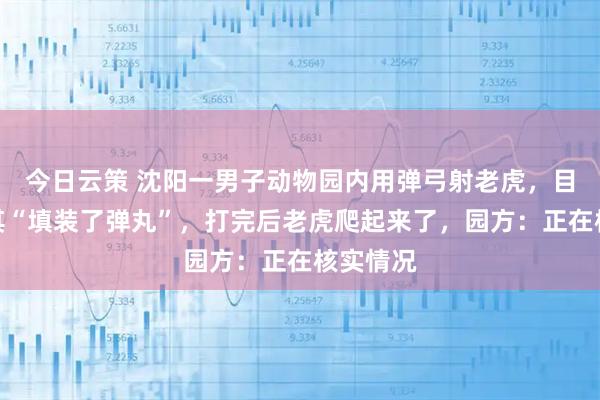今日云策 沈阳一男子动物园内用弹弓射老虎,目击者称其“填装了弹丸”,打完后老虎爬起来了,园方:正在核实情况