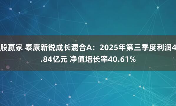 股赢家 泰康新锐成长混合A：2025年第三季度利润4.84亿元 净值增长率40.61%