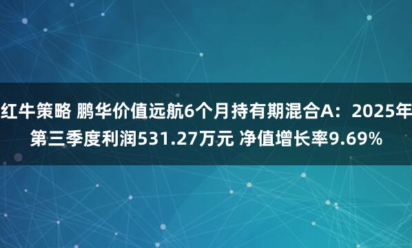 红牛策略 鹏华价值远航6个月持有期混合A：2025年第三季度利润531.27万元 净值增长率9.69%