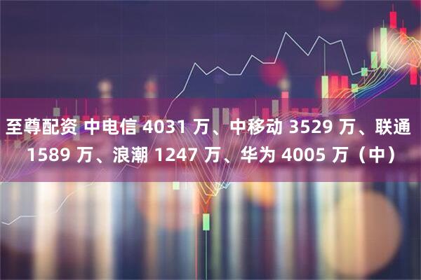 至尊配资 中电信 4031 万、中移动 3529 万、联通 1589 万、浪潮 1247 万、华为 4005 万（中）