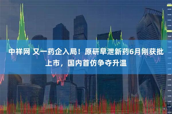 中祥网 又一药企入局！原研早泄新药6月刚获批上市，国内首仿争夺升温